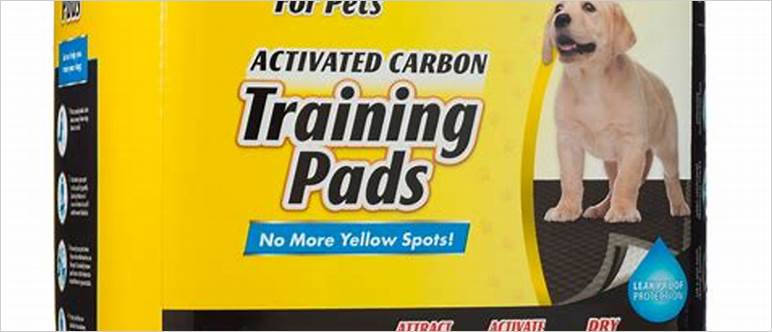 Are charcoal pads safe